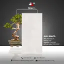 Bliss Bianco - GHR - P - 60x120