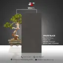 Spazio Black - GHR - P - 60x120