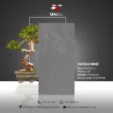 Tavola Nero - GHR - P - 60x120