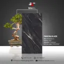 Panona Black - GHR - P - 60x120