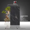 Louvers Panona Black - GHR - P - 60x120