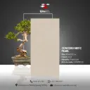 Concord Metic Pearl - GLR - P - 60x120