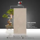 Hazel Natural - GLR - P - 60x120