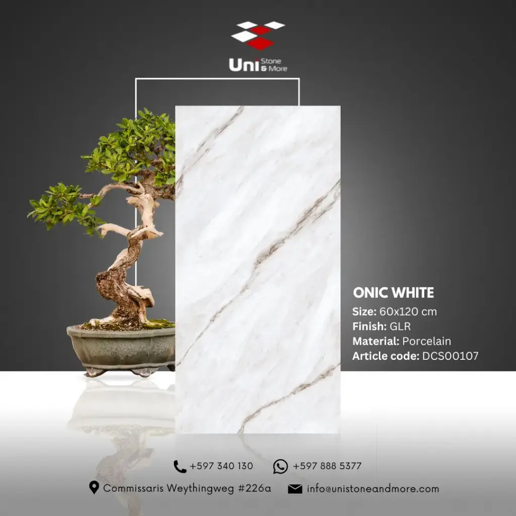 Onic White - GLR - P - 60x120