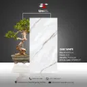 Onic White - GLR - P - 60x120