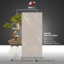 Endelss Majestic Moca - Glossy - P - 60x120