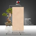 Smart Beige Secondi - Rustic Matt - P - 60x120