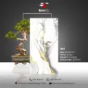 1145 - Glossy - P - 60x120