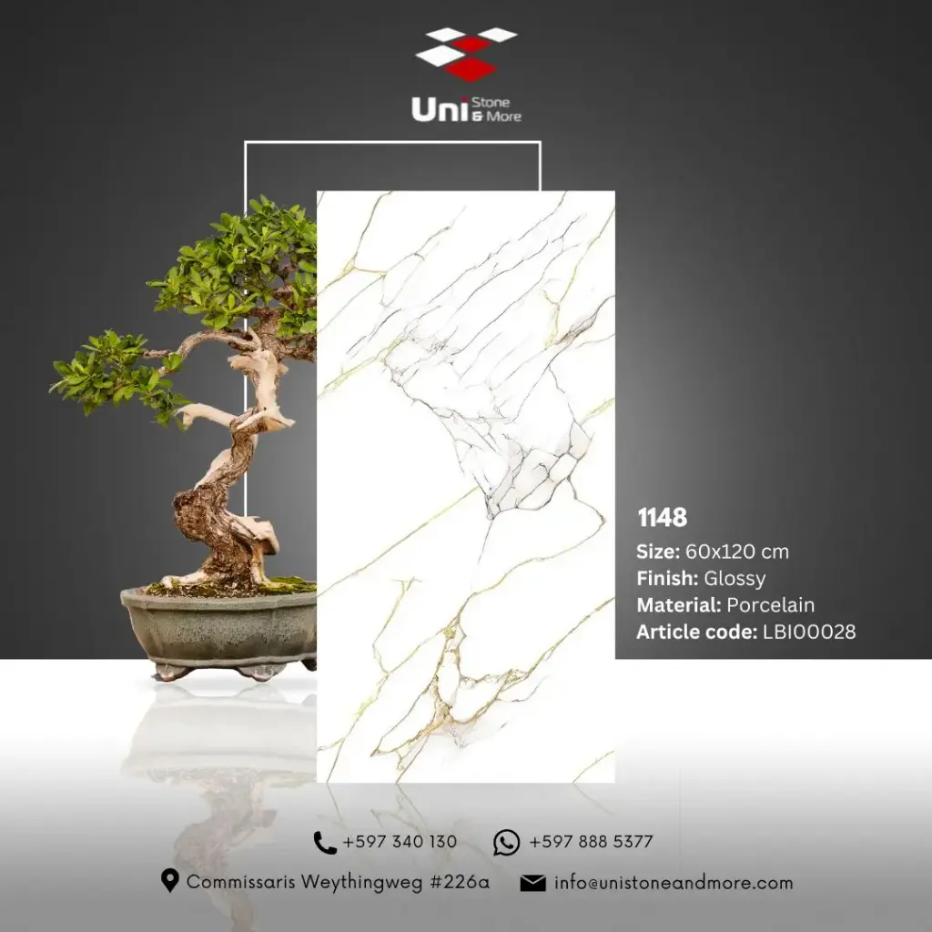 1148 - Glossy - P - 60x120