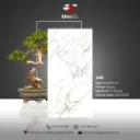 1148 - Glossy - P - 60x120