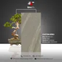 Caston Nero - Matt - P - 60x120