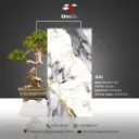 1130 - Glossy - P - 60x120