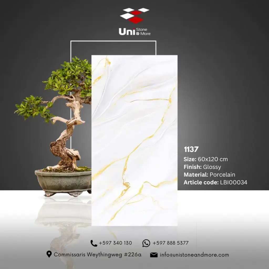 1137 - Glossy - P - 60x120