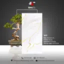 1137 - Glossy - P - 60x120