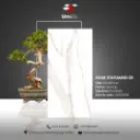 Rose Statuario CR - Carving - P - 60x120