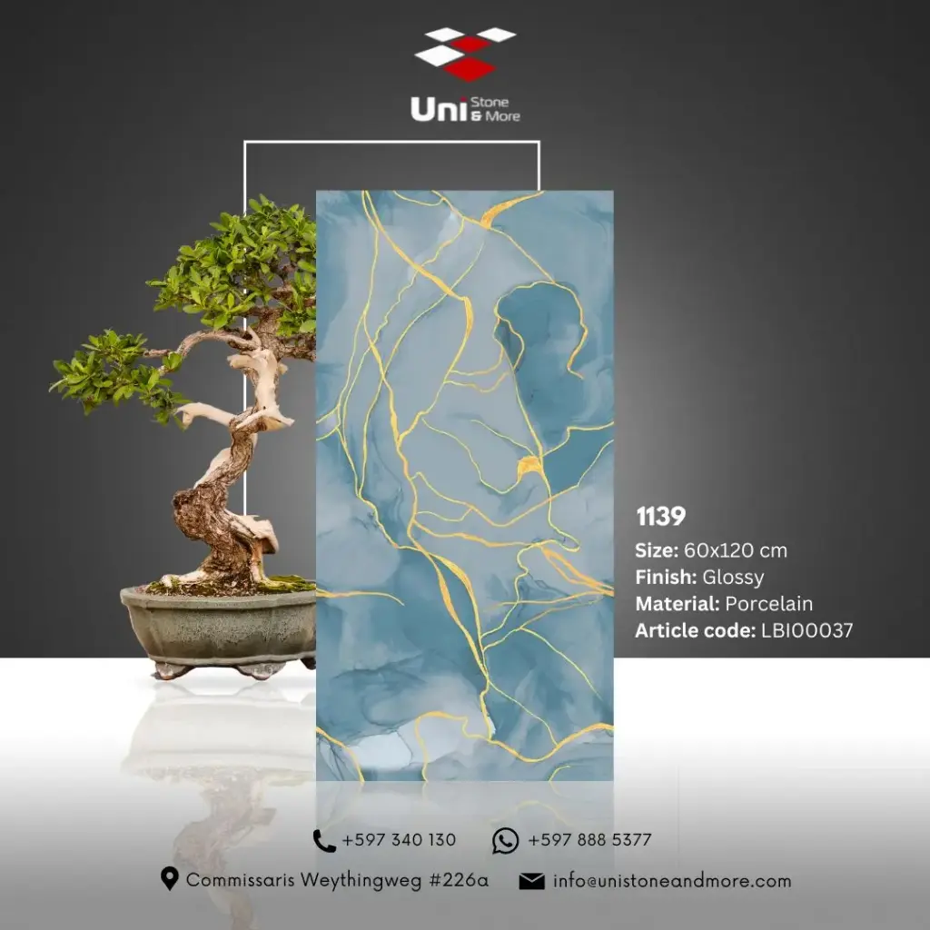 1139 - Glossy - P - 60x120