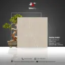 Piatra Ivory - Matt - P - 120x120