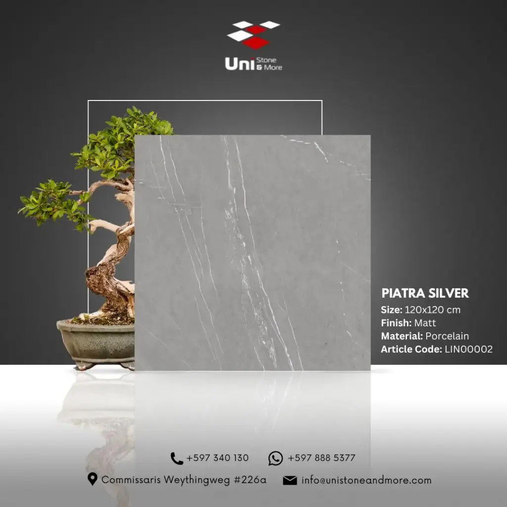 Piatra Silver - Matt - P - 120x120