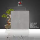 Piatra Silver - Matt - P - 120x120