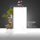 Eva Statuario - Matt - P - 60x120