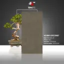 Azuro Chestnut - Matt - P - 60x120