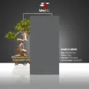 Marco Nero - Matt - P - 60x120