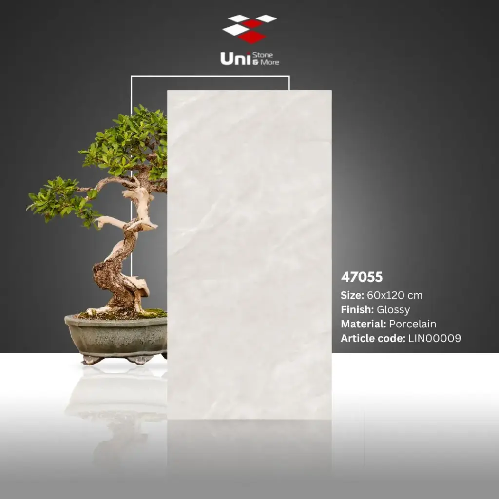 47055 - Glossy - P - 60x120