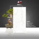 42077 - Glossy - P - 60x120