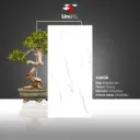 42008 - Glossy - P - 60x120