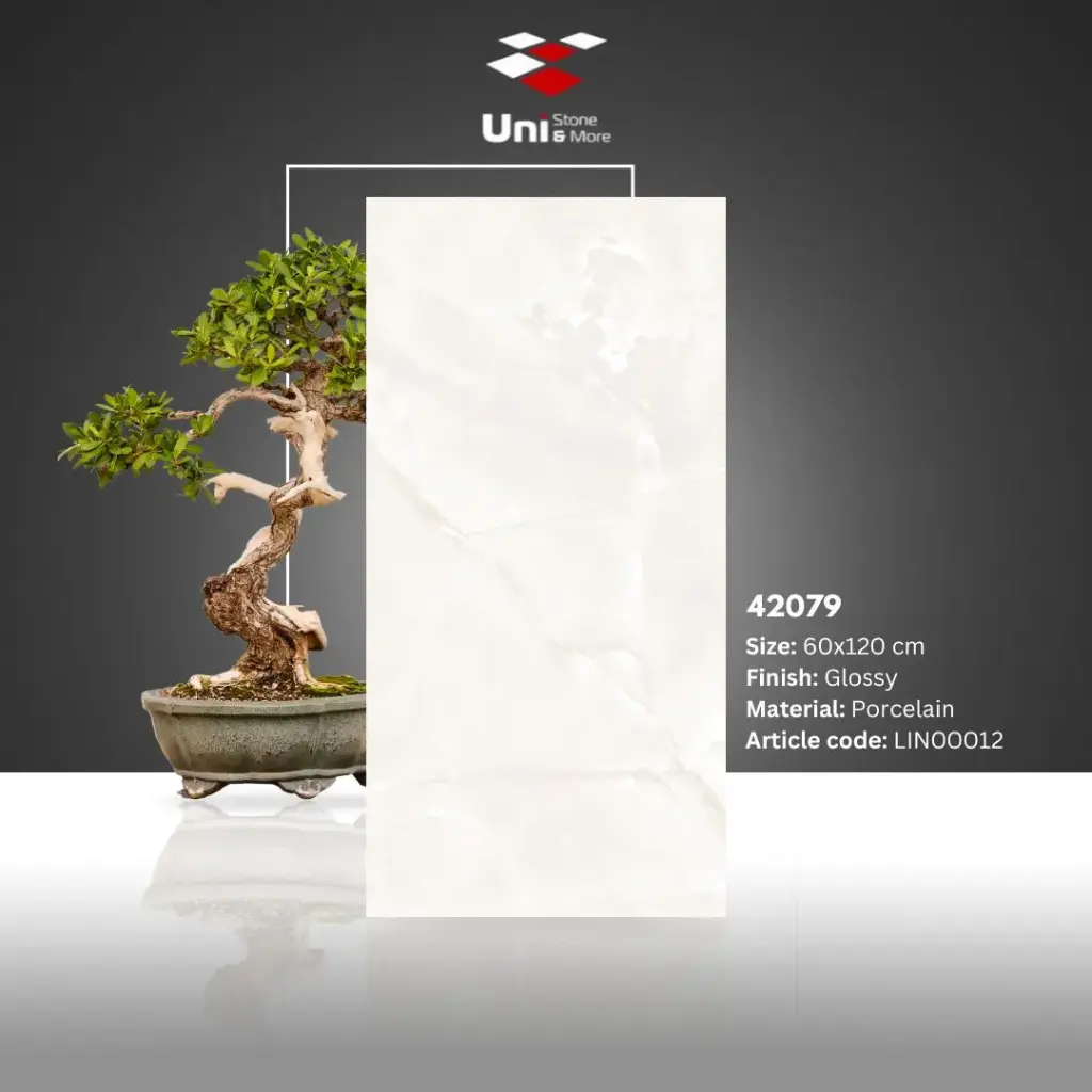 42079 - Glossy - P - 60x120