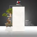 42079 - Glossy - P - 60x120