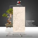 CR Dukati Beige - Carving - P - 60x120