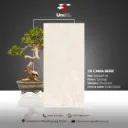 CR Cania Beige - Carving - P - 60x120 