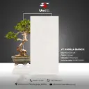 VT Vanilla Bianco - Velvet - P - 60x120