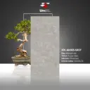 EDL Alkies Grey - Rustic Matt - P - 60x120