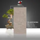 EDL Alkies Natural - Rustic Matt - P - 60x120