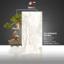 EDL Approach Natural - Glossy - P - 60x120