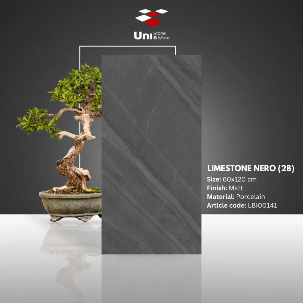 Limestone Nero - Matt - P - 60x120