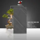 Limestone Nero - Matt - P - 60x120