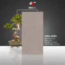 Senda Crema - Matt - P - 60x120