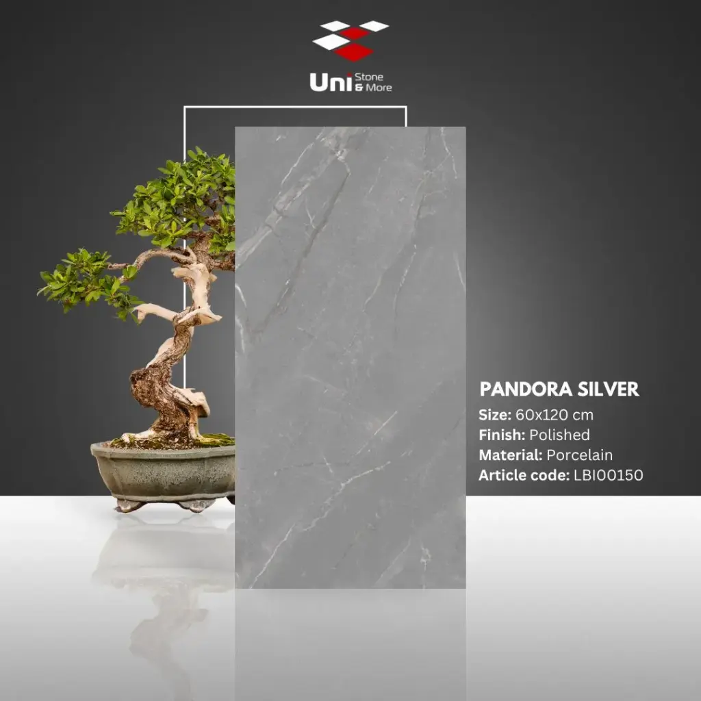 Pandora Silver - Polished - P - 60x120