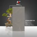 Vitrum Umber (2B) - Polished - P - 60x120