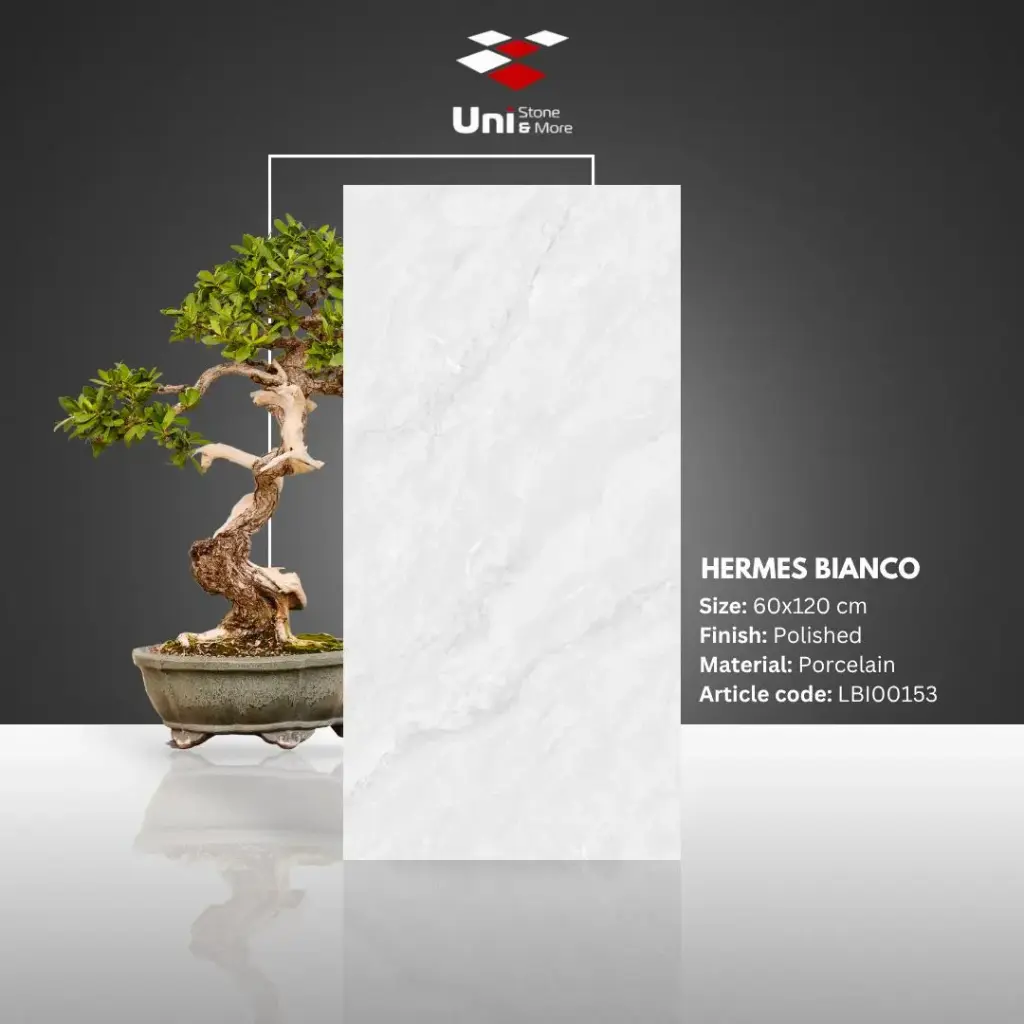 Hermes Bianco - Polished - P - 60x120