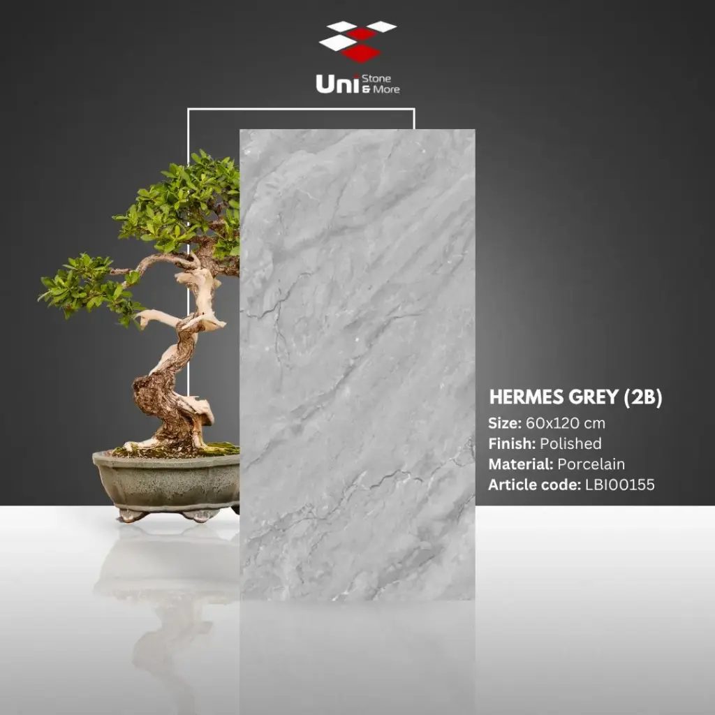 Hermes Grey - Polished - P - 60x120