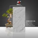 Hermes Grey - Polished - P - 60x120