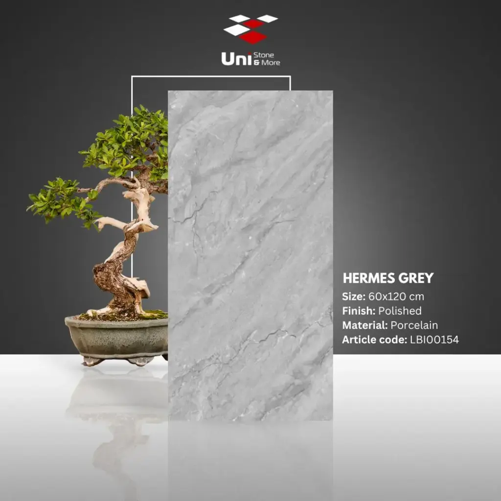 Hermes Grey (2B) - Polished - P - 60x120