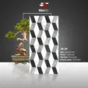 3D-24 - Polished - P - 60x120