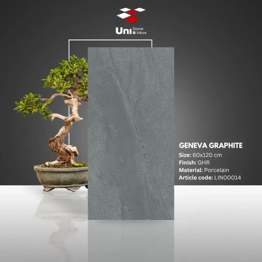 Geneva Graphite - GHR - P - 60x120