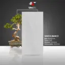 Geneva Bianco - GHR - P - 60x120