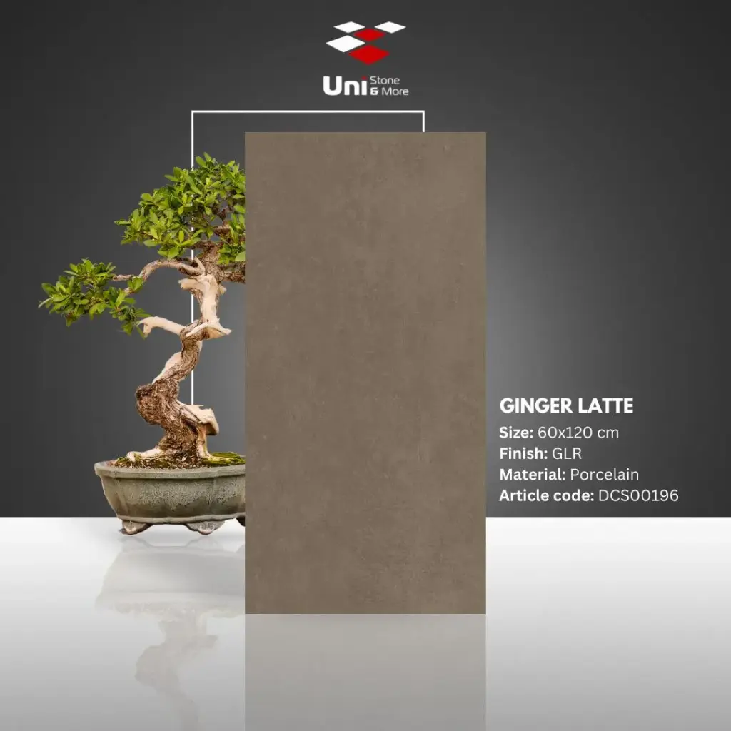 Ginger Latte - GLR - P - 60x120